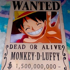 ONE PIECE WANTED POSTER